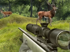 Hra Stag Hunt online