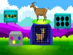 Hra Lamb Escape online