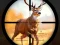 Hra Wild Hunting Clash online