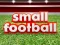 Hra Small Football online