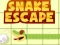 Hra Snake escape online