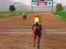Hra Jumping Horses Champions online