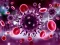 Hra Coronavirus Puzzle online