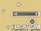 Hra Flight Sim online