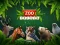 Hra ZOO Trivia online