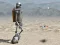 Hra Automaton 2015 online