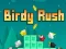 Hra Birdy Rush online