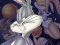 Hra Space Jam online