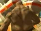 Hra Monster Simulator online