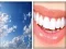 Hra 4x1 Picture Quiz online