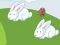 Hra Crazy Eggs online
