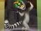 Hra King Julien: Trommel-Tanz online