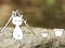 Hra Our Little Island online