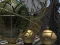 Hra Planetarium online