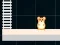Hra Hamster Grid Even Odd online