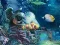Hra Sunken Gold online