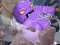 Hra Break The Rock online