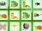 Hra Find The Insect online