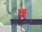 Hra Bear Chase online