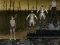 Hra Mrs Bullet: Perfect Gunshot online
