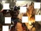 Hra Transformers 3 image puzzles online