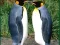 Hra Penguin Puzzle online