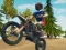 Hra Dirt Bike Enduro Racing online