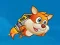 Hra Super Squirrel online