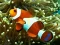 Hra Underwater Hidden Numbers online
