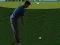 Hra Flash Golf 3D online