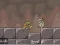 Hra Roly-Poly Eliminator 2 online