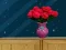 Hra Space House Escape online