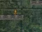 Hra Bunny Adventure online