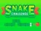 Hra Snake Challenge online