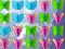 Hra Butterfly Collector online