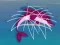 Hra Dolphin Rescue online