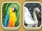 Hra Match Zoo online