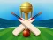 Hra Cricket Champions Cup online