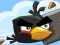Hra Crazy Birds online