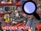 Hra Hidden Spots In The Room online