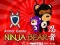 Hra Ninja Bear online