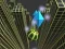 Hra Marble Rolling Stunt online