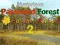 Hra Mysterious Password Forest Autumn Edition 2 online
