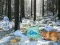 Hra Winter Wonderland Forest Adventure online