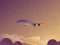 Hra Vacation Airplanes Jigsaw online