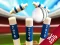 Hra Mini Cricket: Ground Championship World Cup 2019 online