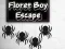 Hra Floret Boy Escape online