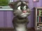 Hra Talking Tom Cat 2 online