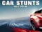 Hra Car Stunts Sky Tour online