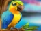 Hra Little Parrot Escape online